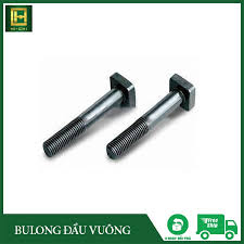 Ốc chữ T + tán (Bu lông chữ T + tán) M12, M14, M16, M18, M20, M22, M24
