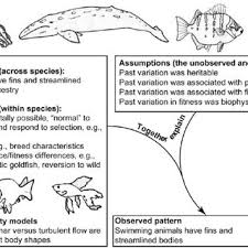It fills the anterior and posterior chambers of the eye (between the lens and the cornea), providing nourishment and waste removal. Pdf How To Study Adaptation And Why To Do It That Way Adaptation Just So Stories And Circularity Penultimate Draft