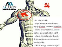 We did not find results for: 4 Step Urutan Sakit Belikat Sakit Belakang Upper Back