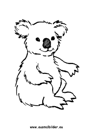 Ausmalbild Koala Zum Ausdrucken
