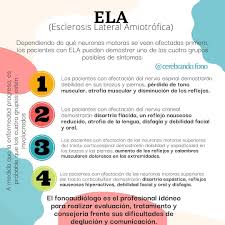 Los sintomas de la leishmaniosis son: Esclerosis Lateral Amiotrofica Cerebrando Fonoaudiologia Facebook