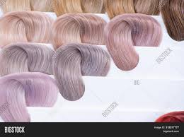 hair color chart image photo free trial bigstock