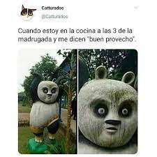 Rosy isela Ayala Rodríguez (ayalarodriguezrosyisela) - Profile | Pinterest