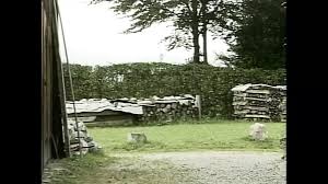 Heidy Pino Vk Porn Videos: XXX 2025, 7 | xHamster