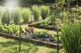 Years ago, vegetable gardens were tucked away in backyards where their long rows and practical plantings could be hidden from the neighbors. Hardscaping 101 Edible Gardens Gardenista