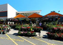 We did not find results for: Home Depot Garden Center Home Decor