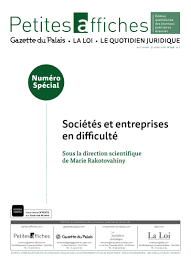 Droit De Vote De L Associe Des Atteintes Mesurees Actu Juridique