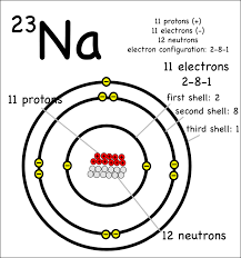Pin By Arowojolu Leke On Challenge B Atom Model Atom Model Project Electron Configuration