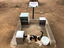 See all things to do. El Control De Colonias Felinas Etica Y Legalidad Abogacia Espanola