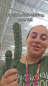 Lincolns Beans Andmomma