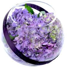 Great savings & free delivery / collection on many items. Send Purple Hydrangea Flowers Fish Bowl Gold Coast Australia Botanique Purple Flower Arrangements Christmas Flower Delivery Flower Delivery
