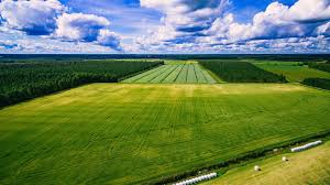 Щодо подачі юридичною особою податкової декларації з плати за землю, якщо  земельна ділянка придбана і відчужена в межах одного календарного місяця -  Роздільнянська територіальна громада