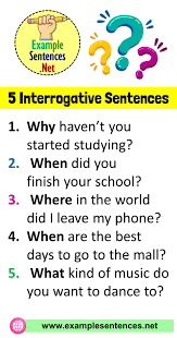 5 Example Of Interrogative Sentence Example Sentences In 2020 Sentence Examples Sentences English Grammar Notes