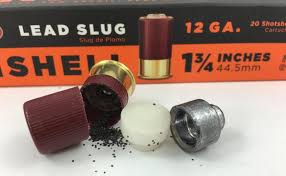 You get up to eight pellets and something is going to hit home. The Aguila Minishell The Little Shotshell That Could Outdoorhub