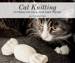 Last updated on mon, 09 aug 2010 | knitted animals. Cat Knitting 15 Patterns For You And Your Feline Allfreeknitting Com
