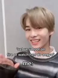 his natural aegyo is cute tho #han #straykids #fyp #nikienhypen