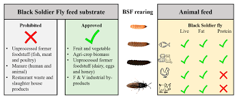 Processes Free Full Text Larvae Mediated Valorization Of Industrial Agriculture And Food Wastes Biorefinery Concept Through Bioconversion Processes Procedures And Products Html Tin options are typically painted to look decorative and some are.