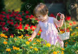 Find the perfect baby with flowers stock photos and editorial news pictures from getty images. Beautiful Baby Girl Picking Flowers From The Garden Stock Photo Picture And Royalty Free Image Image 61375671
