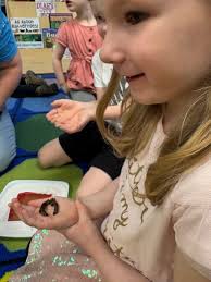 Chardon Local Schools