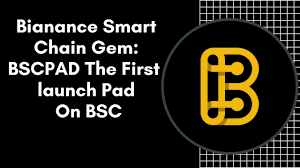 Bianance Smart Chain Gem Bscpad The First Launch Pad On Bsc Youtube