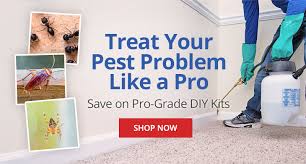 50% off pest control in phoenix. Do My Own Do It Yourself Pest Control Lawn Care Gardening Equipment Animal Care Products Supplies