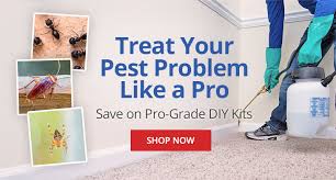 Maybe you would like to learn more about one of these? Pest And Insect Library Pest Identification Domyown Com