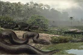 Mungkin anda pikir anaconda dan phyton dianggap sebagai ular paling besar di jagat raya. 5 Fakta Titanoboa Ular Purba Terbesar Yang Pernah Hidup Di Muka Bumi