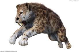 Our songs are an eclectic blend of latin, rock, country, folk, classics and originals. Smilodon Facts For Kids Adults Prehistoric Animal Info Pictures