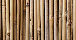 Bambu merupakan bahan baku dari berbagai peralatan rumah tangga yang utama sebelum datangnya era peralatan rumah tangga dari plastik. Ini Dia Cara Membuat Tirai Bambu Ketikanku