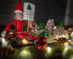 Elf On The Shelf Idea Elf On A Shelf Little Debbie Christmas Tree Cakes And Brownies For Sale Christmas Elf Elf Antics Christmas Tree Cake