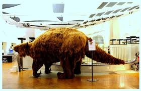 Mitmachen und erleben weckt im zoologischen museum die neugierde von gross und klein. Zurich Zoological Museum Bild Von Zoologisches Museum Zurich Tripadvisor