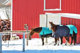 blanketing basics the horse