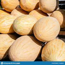 There are Many Ripe Large Melons in the Agricultural Market. Close-up Stock  Image - Image of closeup, vitamin: 229769865