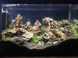 Please include notes with your order to let us know the approximate size or quantity of. Dragon Stone For Aquascapers Discus Com