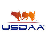 Dog Gone Fun USDAA Agility