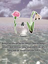 arti bulan kelahiran mu berdasarkan bunga💐 Part 1