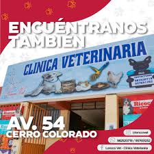 Veterinaria SonccoVet 24 horas