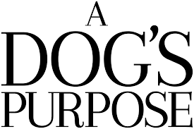 Film.hu egy kutya négy útja (2019) teljes film magyarul online hd. Egy Kutya Negy Elete Wikipedia