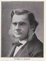 The Scopes Trial (1925)