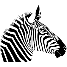 stickers esprit design stickers zebre zebra art animal stencil zebra drawing