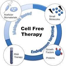 It contains freecell and more than 50 other solitaire games similar to freecell, such sea towers, penguin, eight off, double freecell, freecell duplex, and many, many more. Cell Free Therapy Two Types Of Cell Free Therapy Are Discussed Here Download Scientific Diagram