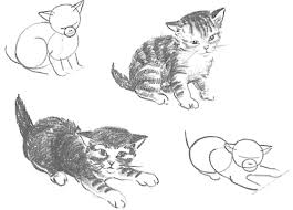 Instreamset:drawing tutorial &.asp?cat= / mouth. Guide To Drawing Cats Kittens With Step By Step Instructional Tutorial Lesson How To Draw Step By Step Drawing Tutorials