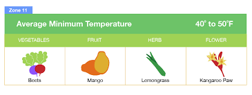 Maybe you would like to learn more about one of these? Planting Zones Map Find Your Plant Hardiness Growing Zone
