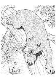 page 118 sur 282 hugolescargot com cat coloring animal drawings pages coloriages gratuits de lapins sieluette
