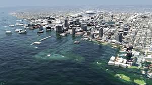 Maybe you would like to learn more about one of these? Tbrpc Creates 3d Models Of Storm Surge And Sea Level Rise In Tampa Bay Tbrpc