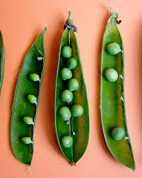 Sugar peas, or snap peas, or sugar snap peas, are actually a cross between snow peas and garden peas. Everything To Know About Cooking And Shopping For In Season Peas Stories Kitchen Stories