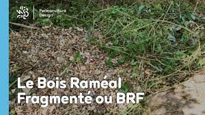 We did not find results for: Le Brf Bois Rameal Fragmente En Paillage Permaculture Design