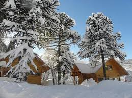 Find hotels near university of colorado denver, the united states online. Cabanas Raices Del Colorado Prices Campground Reviews Malalcahuello Chile Tripadvisor