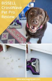 Bissell Crosswave Pet Pro Reviews Reviewing Bissell Crosswave Pet Pro Dog Blog Pets Pet Companies
