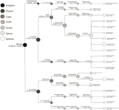 We go to great lengths to provide a modern, clean and adventure forward basecamp for your next adventure. Metataxonomic Analysis Of Microbiota From Pakistani Dromedary Camelids Milk And Characterization Of A Newly Isolated Lactobacillus Fermentum Strain With Probiotic And Bio Yogurt Starter Traits Springerlink